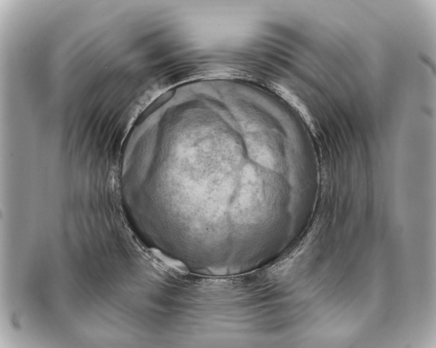 X0000096161481200802081423