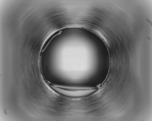 X0000096161484200802081423