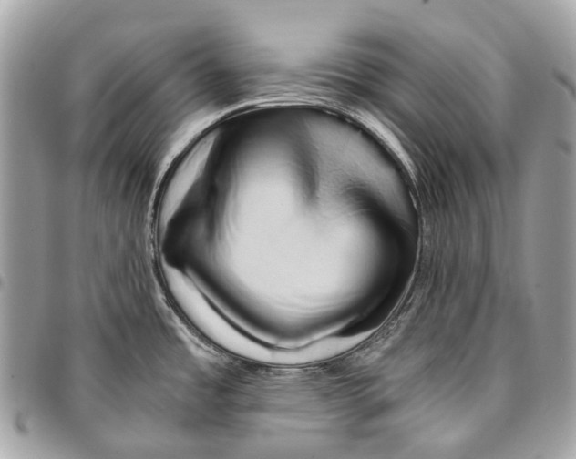 X0000096161485200802081423