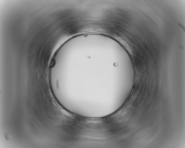 X0000096161486200802081423