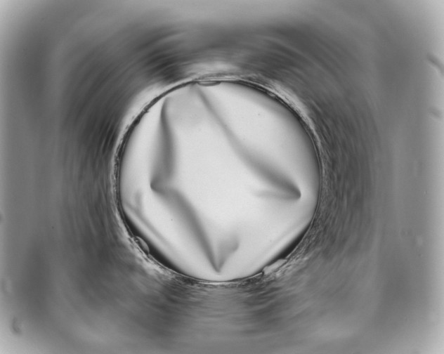 X0000096161488200802081423