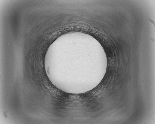 X0000096161489200802081422