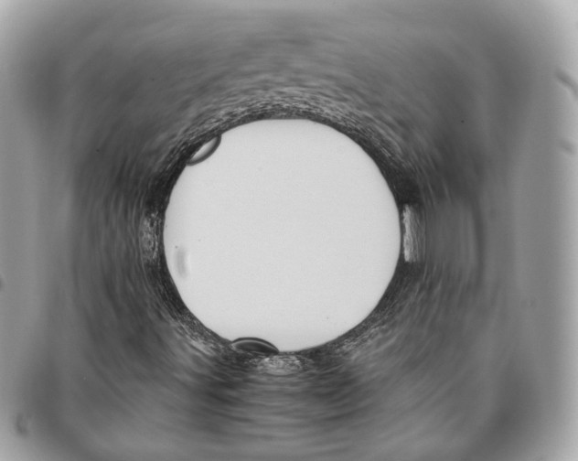 X0000096161491200802081422