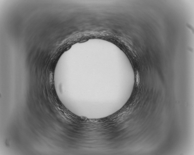 X0000096161492200802081422