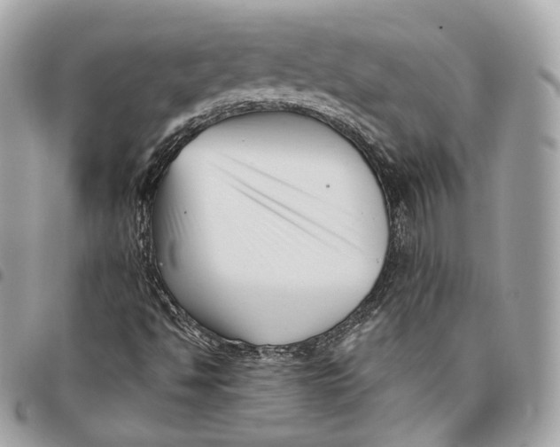 X0000096161494200802081422