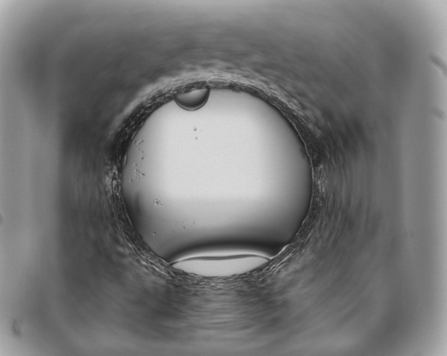 X0000096161495200802081422