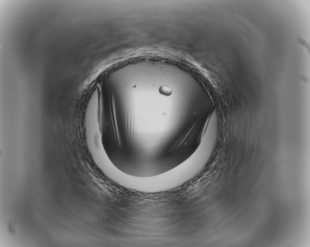 X0000096161496200802081422