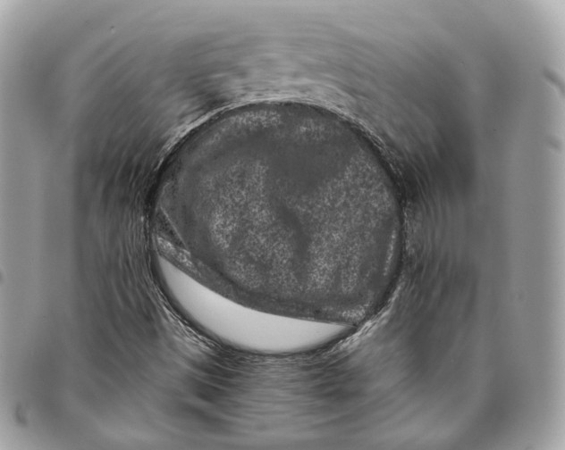 X0000096161497200802081422