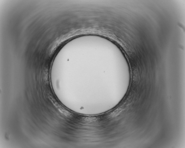 X0000096161499200802081422