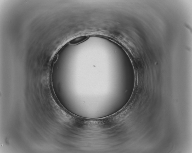 X0000096161500200802081422