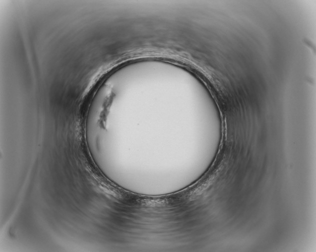 X0000096161501200802081422