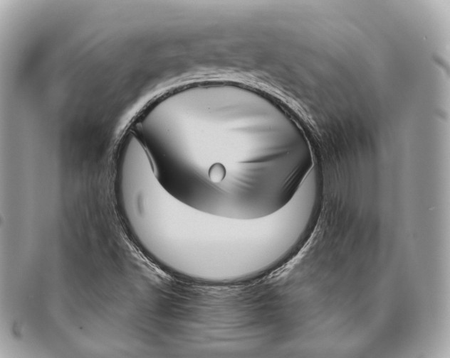 X0000096161502200802081422