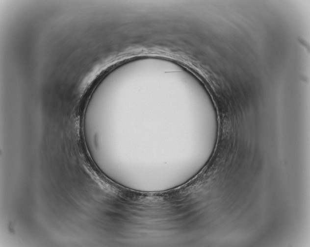 X0000096161503200802081422