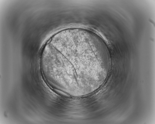 X0000096161504200802081422