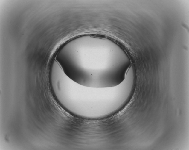 X0000096161506200802081422