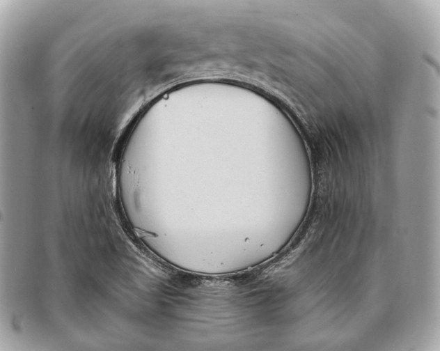 X0000096161509200802081422