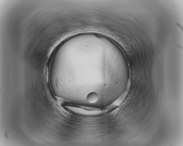 X0000096161510200802081422