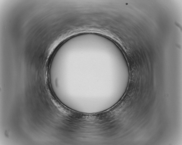 X0000096161511200802081422