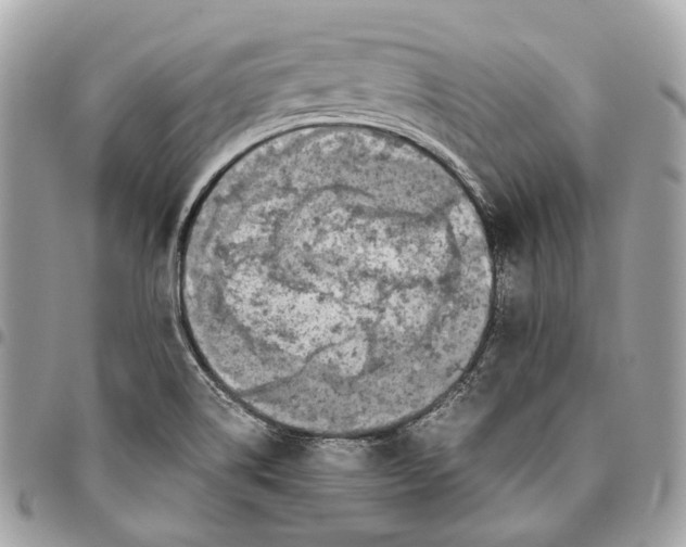 X0000096161514200802081422