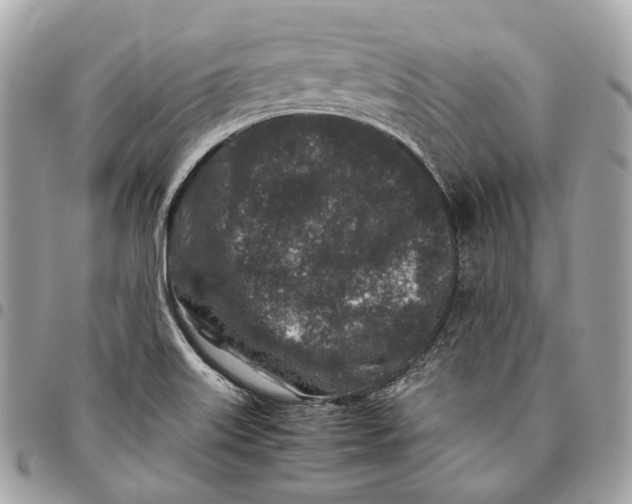 X0000096161515200802081422