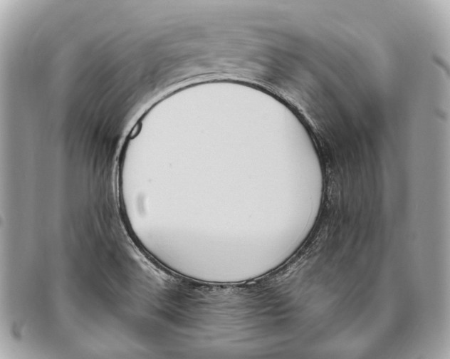 X0000096161516200802081422