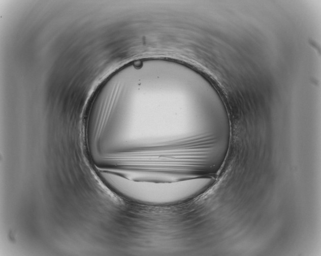 X0000096161517200802081423