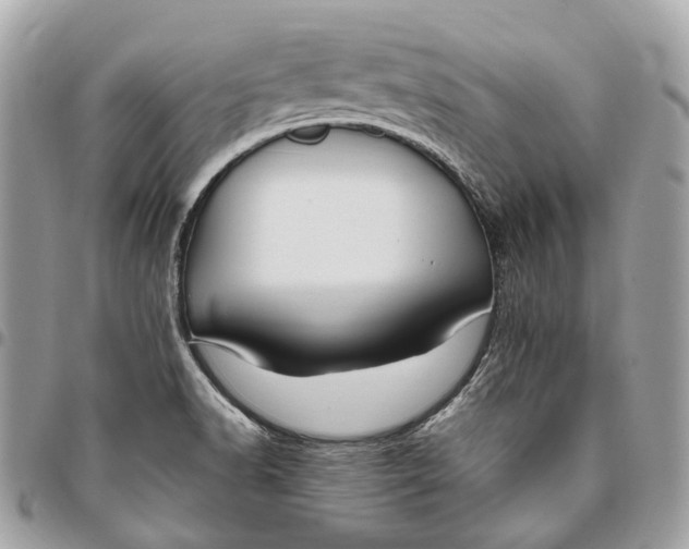 X0000096161518200802081423