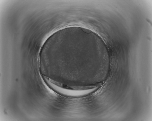 X0000096161519200802081423