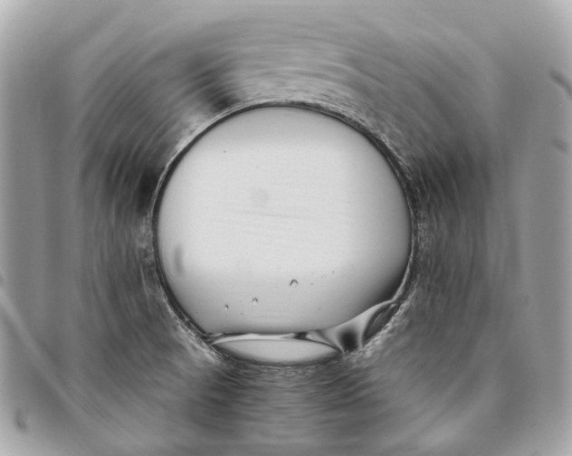 X0000096161521200802081423