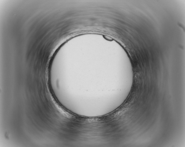 X0000096161523200802081423