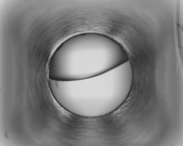 X0000096161524200802081423