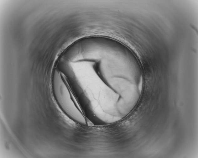 X0000096161525200802081423