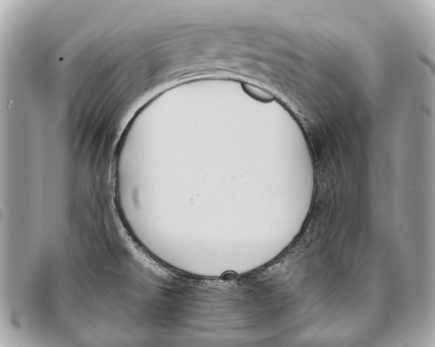 X0000096161526200802081423