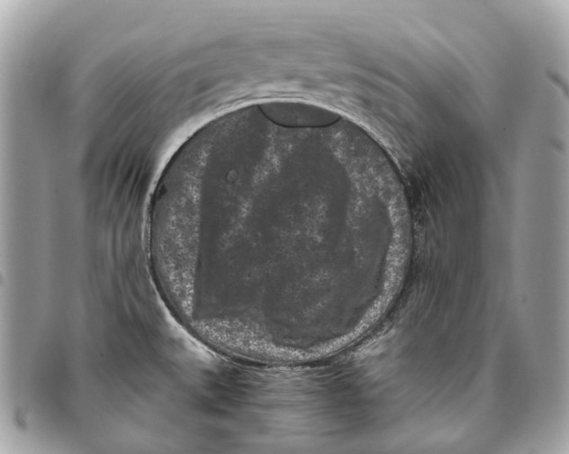 X0000096161527200802081423