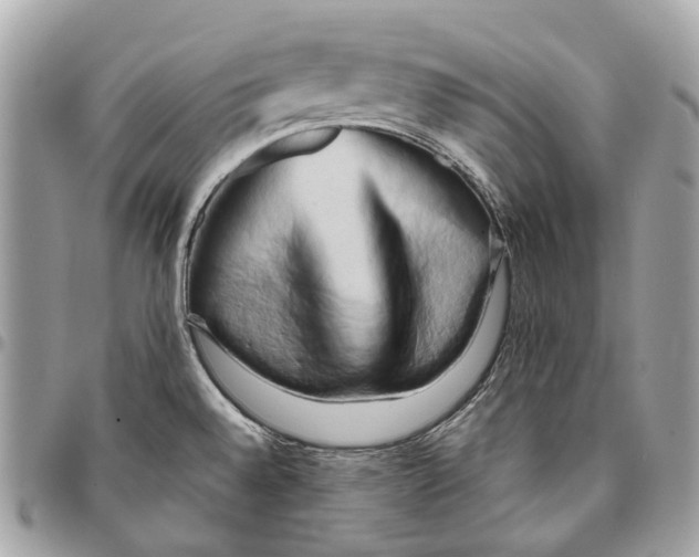 X0000096161528200802081423