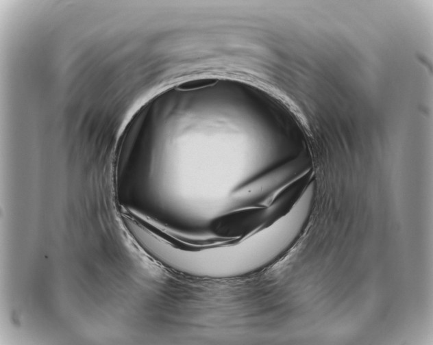 X0000096161530200802081423