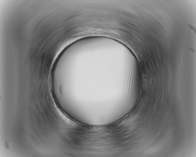 X0000096161531200802081423