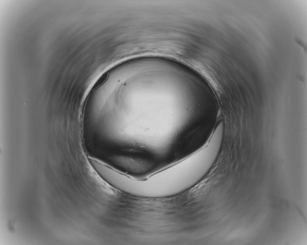 X0000096161532200802081423