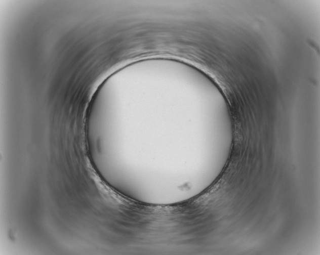 X0000096161534200802081423