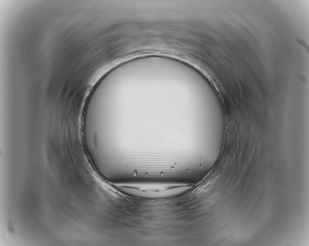 X0000096161535200802081423