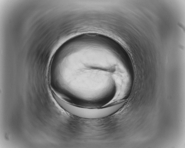 X0000096161536200802081423