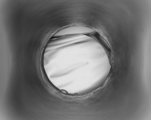 X0000096160001200802151424