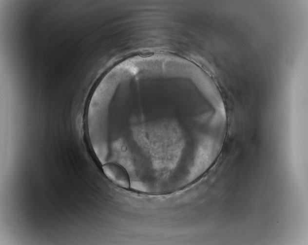 X0000096160002200802151424