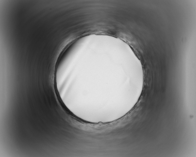 X0000096160003200802151424