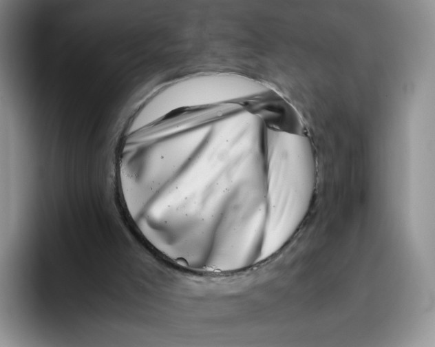 X0000096160005200802151424