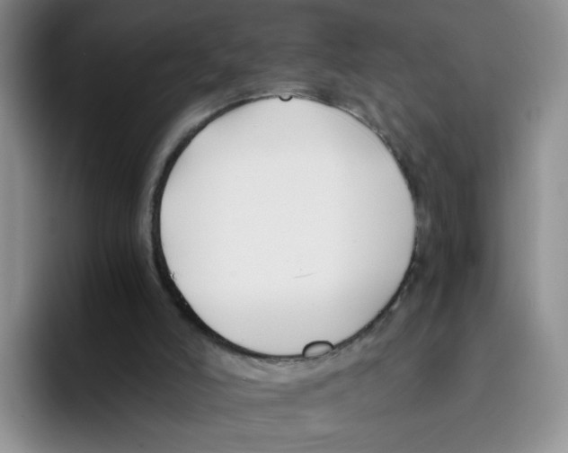 X0000096160006200802151424