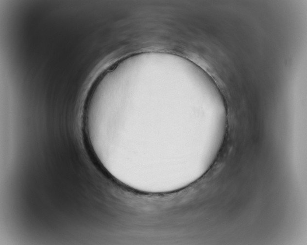 X0000096160007200802151424