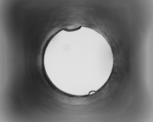 X0000096160008200802151424