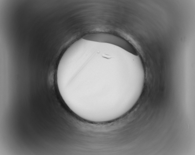 X0000096160010200802151424