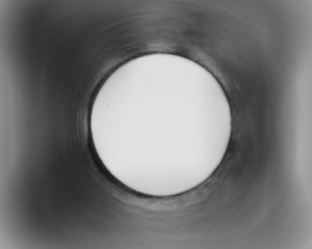 X0000096160011200802151424